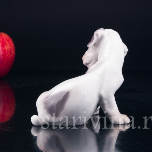 Силихем терьер, Bing & Grondahl, Дания