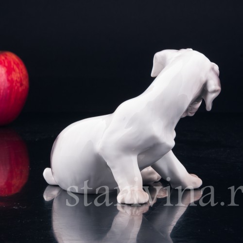 Силихем терьер, Bing & Grondahl, Дания