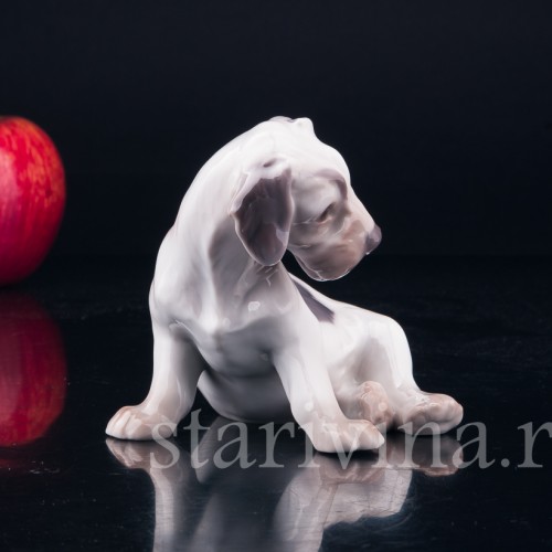 Силихем терьер, Bing & Grondahl, Дания