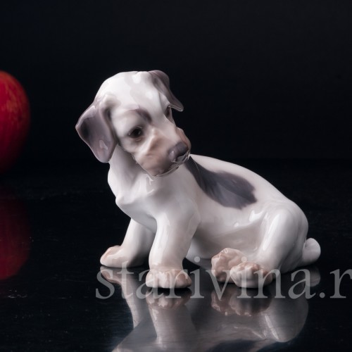 Силихем терьер, Bing & Grondahl, Дания