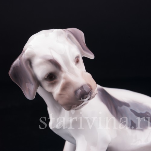 Силихем терьер, Bing & Grondahl, Дания