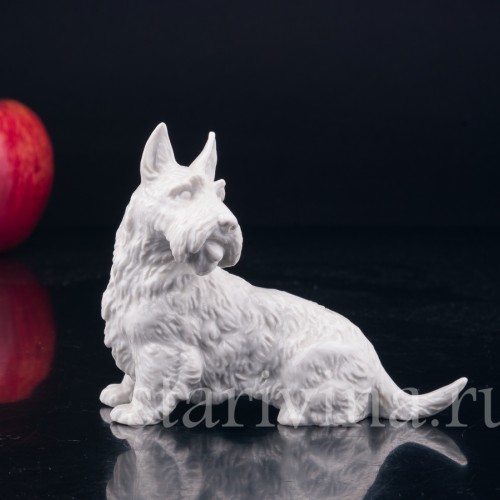 Скотч терьер, шотландский терьер, Rosenthal, Германия, 1930 гг