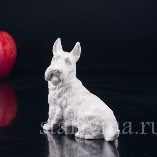 Скотч терьер, шотландский терьер, Rosenthal, Германия, 1930 гг