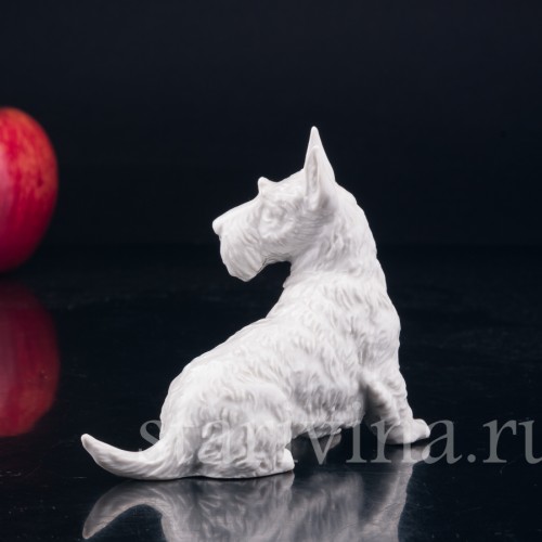 Скотч терьер, шотландский терьер, Rosenthal, Германия, 1930 гг