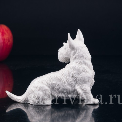 Скотч терьер, шотландский терьер, Rosenthal, Германия, 1930 гг