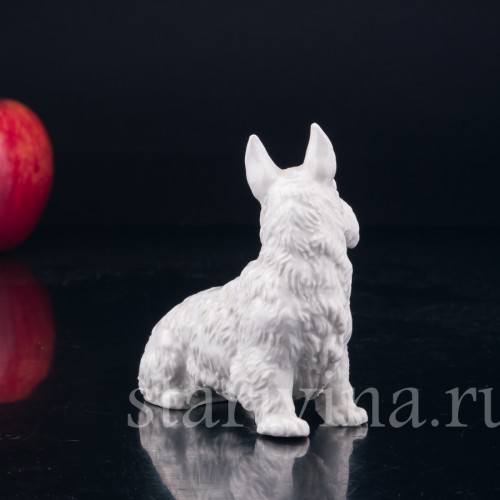 Скотч терьер, шотландский терьер, Rosenthal, Германия, 1930 гг