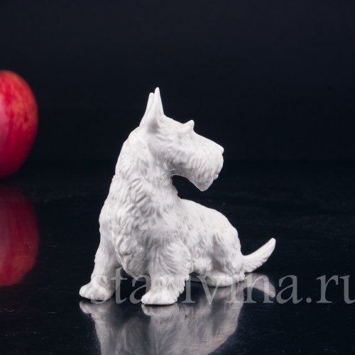 Скотч терьер, шотландский терьер, Rosenthal, Германия, 1930 гг