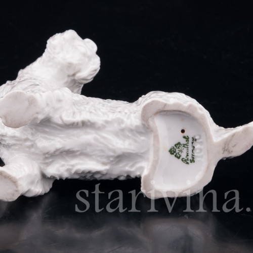 Скотч терьер, шотландский терьер, Rosenthal, Германия, 1930 гг