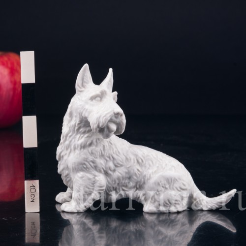 Скотч терьер, шотландский терьер, Rosenthal, Германия, 1930 гг