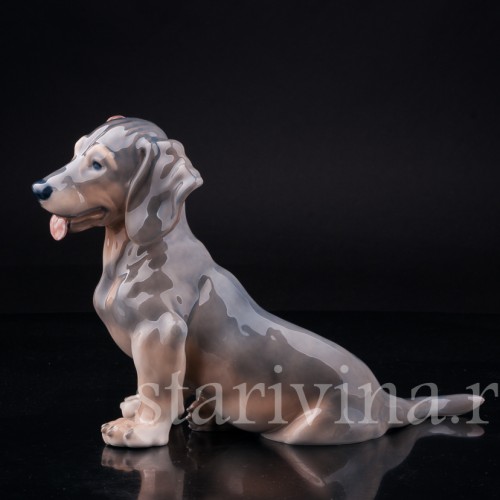 Фигурка собаки из фарфора Такса с завернутым ухом, Royal Copenhagen, Дания, вт. пол. 20 в.