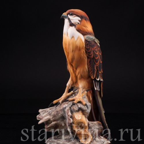 Статуэтка птицы из фарфора Сокол, Capodimonte, Италия, 1985 г.