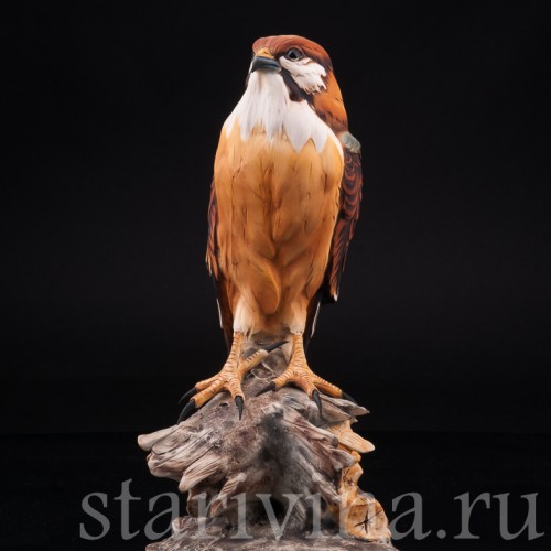 Статуэтка птицы из фарфора Сокол, Capodimonte, Италия, 1985 г.