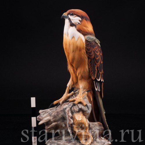 Статуэтка птицы из фарфора Сокол, Capodimonte, Италия, 1985 г.