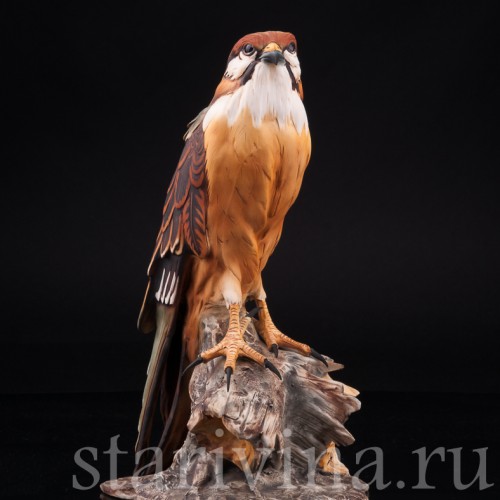 Статуэтка птицы из фарфора Сокол, Capodimonte, Италия, 1985 г.
