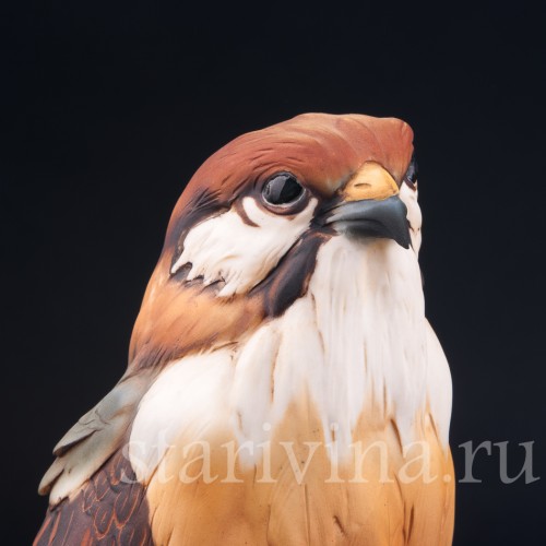 Статуэтка птицы из фарфора Сокол, Capodimonte, Италия, 1985 г.