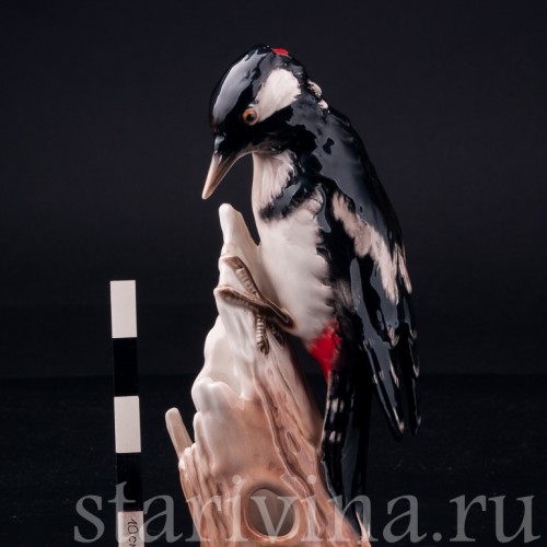 Статуэтка птицы из фарфора Пестрый дятел, Goebel, Германия, 1967 г.