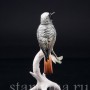 Фарфорвая статуэтка птицы Горихвостка, Karl Ens, Германия, сер. 20 в.