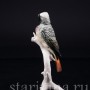 Фарфорвая статуэтка птицы Горихвостка, Karl Ens, Германия, сер. 20 в.