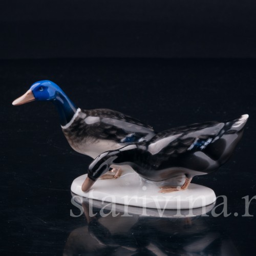 Селезень и утка, Rosenthal, Германия, 1960 гг