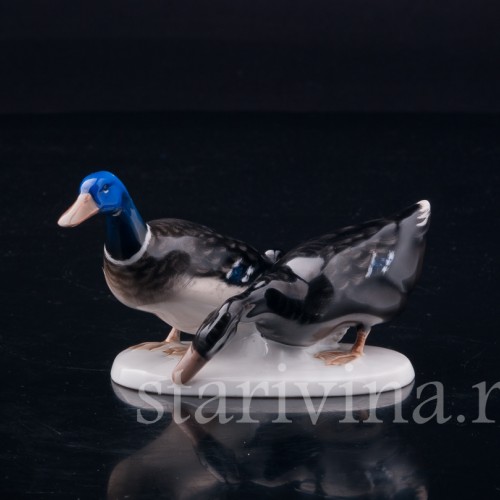 Селезень и утка, Rosenthal, Германия, 1960 гг