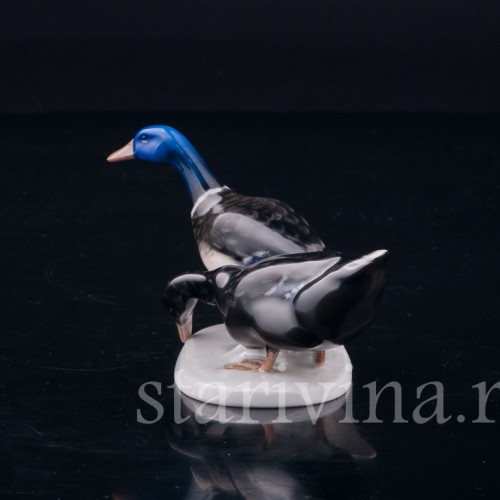 Селезень и утка, Rosenthal, Германия, 1960 гг