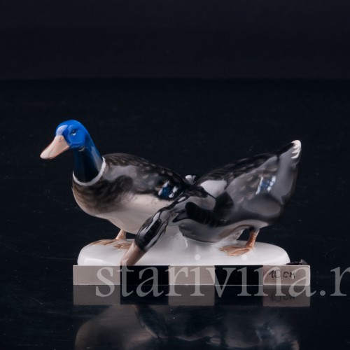 Селезень и утка, Rosenthal, Германия, 1960 гг