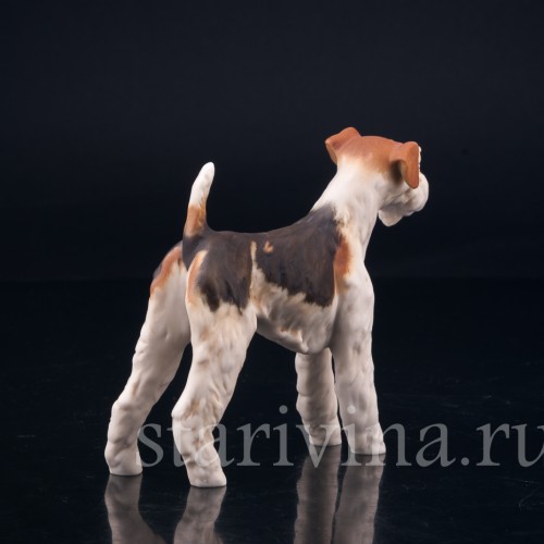 Фокстерьер, Alka Kaiser, Германия