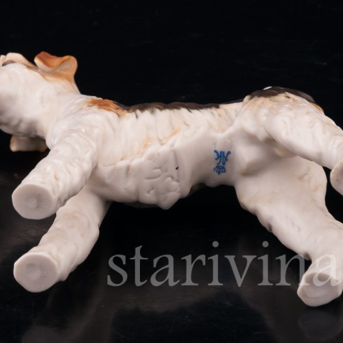 Фокстерьер, Alka Kaiser, Германия