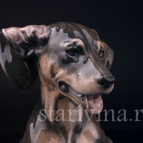 Фарфоровая статуэтка собаки Такса с завернутым ухом, Royal Copenhagen, Дания, 1963 г.