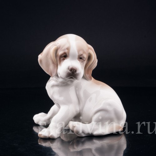 Щенок сенбернара, Nymphenburg, Германия, нач. 20 в