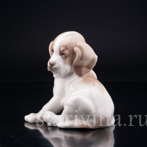 Щенок сенбернара, Nymphenburg, Германия, нач. 20 в