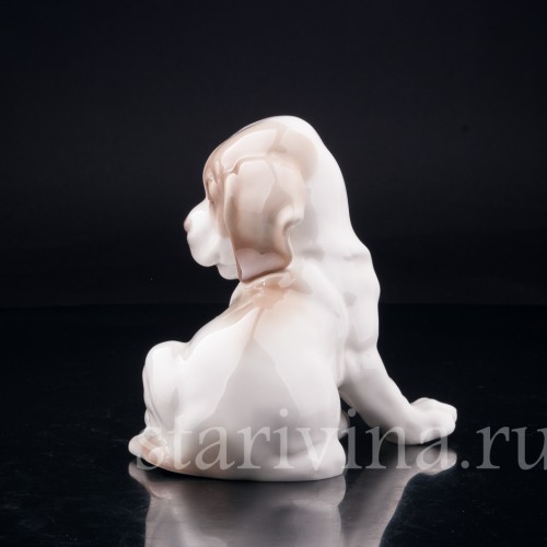 Щенок сенбернара, Nymphenburg, Германия, нач. 20 в