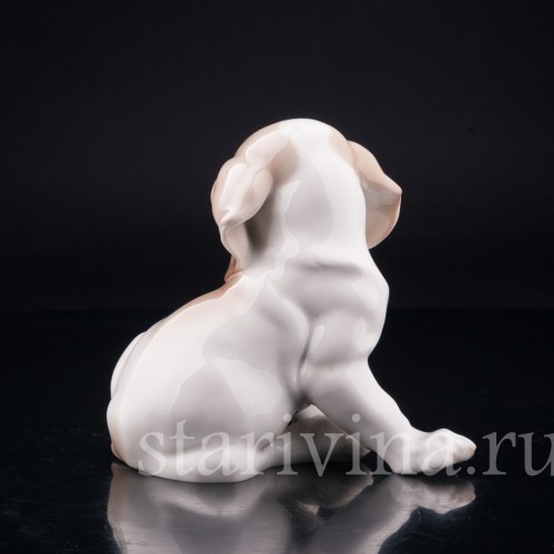 Щенок сенбернара, Nymphenburg, Германия, нач. 20 в