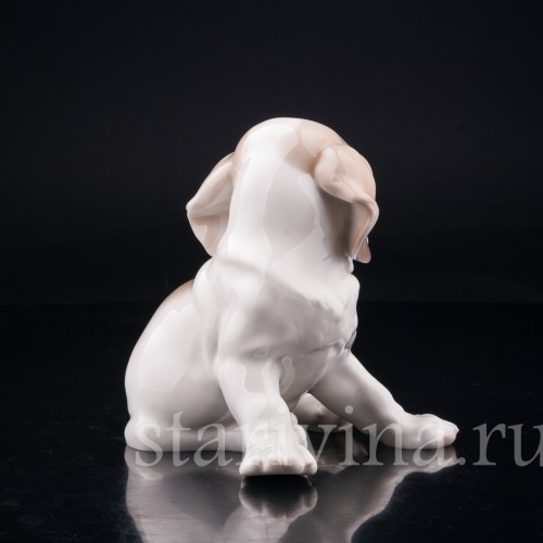 Щенок сенбернара, Nymphenburg, Германия, нач. 20 в