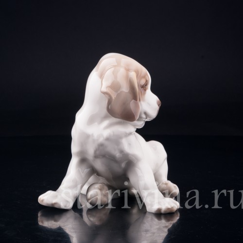 Щенок сенбернара, Nymphenburg, Германия, нач. 20 в