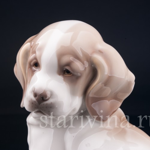 Щенок сенбернара, Nymphenburg, Германия, нач. 20 в