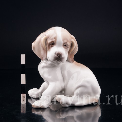 Щенок сенбернара, Nymphenburg, Германия, нач. 20 в