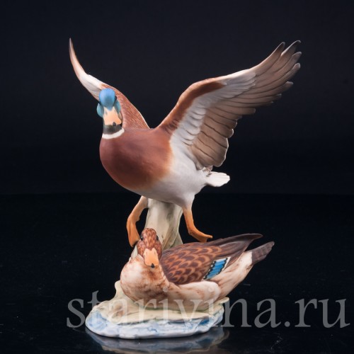 Утка и селезень, Alka Kaiser, Германия, вт. пол. 20 в