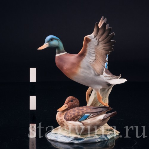 Утка и селезень, Alka Kaiser, Германия, вт. пол. 20 в