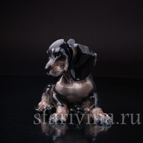 Щенок таксы черный, Rosenthal, Германия, 1950 гг