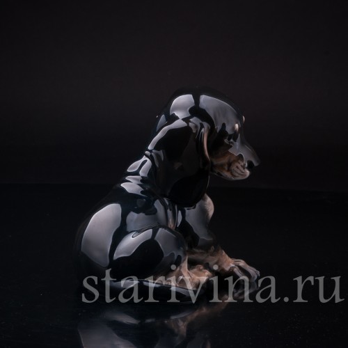 Щенок таксы черный, Rosenthal, Германия, 1950 гг
