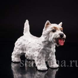 Вестхайленд уайт терьер, Goebel, Германия, вт. пол. 20 в