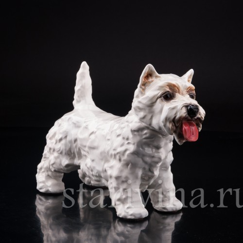 Вестхайленд уайт терьер, Goebel, Германия, вт. пол. 20 в