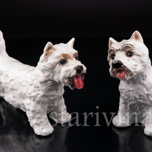 Вестхайленд уайт терьер, Goebel, Германия, вт. пол. 20 в