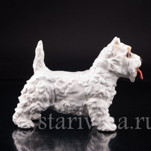 Вестхайленд уайт терьер, Goebel, Германия, вт. пол. 20 в