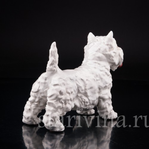 Вестхайленд уайт терьер, Goebel, Германия, вт. пол. 20 в