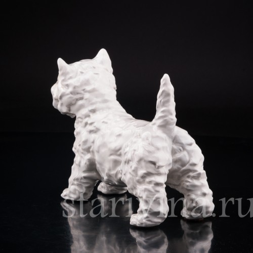 Вестхайленд уайт терьер, Goebel, Германия, вт. пол. 20 в