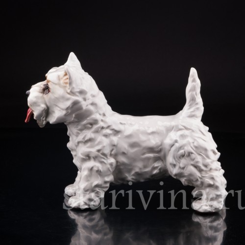 Вестхайленд уайт терьер, Goebel, Германия, вт. пол. 20 в
