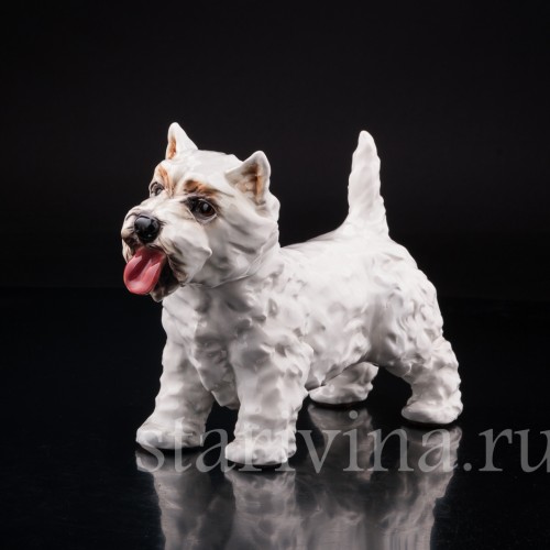 Вестхайленд уайт терьер, Goebel, Германия, вт. пол. 20 в