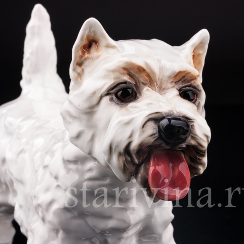 Вестхайленд уайт терьер, Goebel, Германия, вт. пол. 20 в